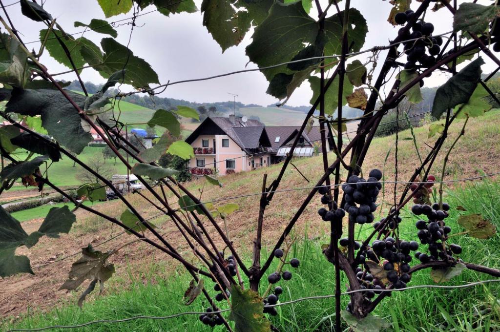 Gaestehaus Anna Unterlamm  Bagian luar foto